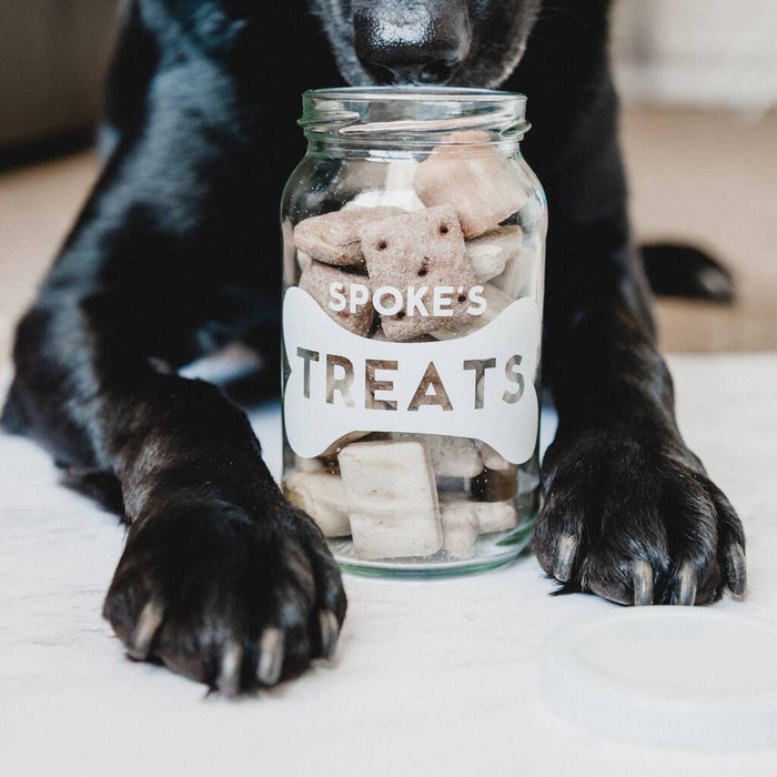 Personalised Pet Treats Storage Jar