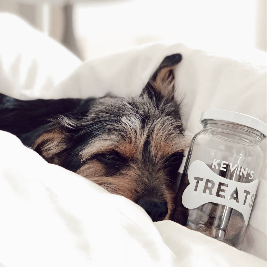 Personalised Pet Treats Storage Jar