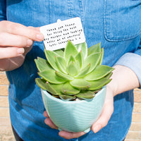 Thank You Teacher Personalised Plant Marker