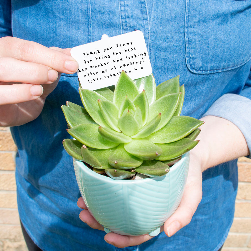 Thank You Teacher Personalised Plant Marker