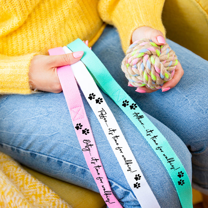 Personalised 'Time For Walkies' Pet Dog Lead