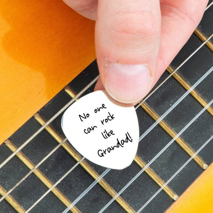 Personalised Message Guitar Plectrum / Pick