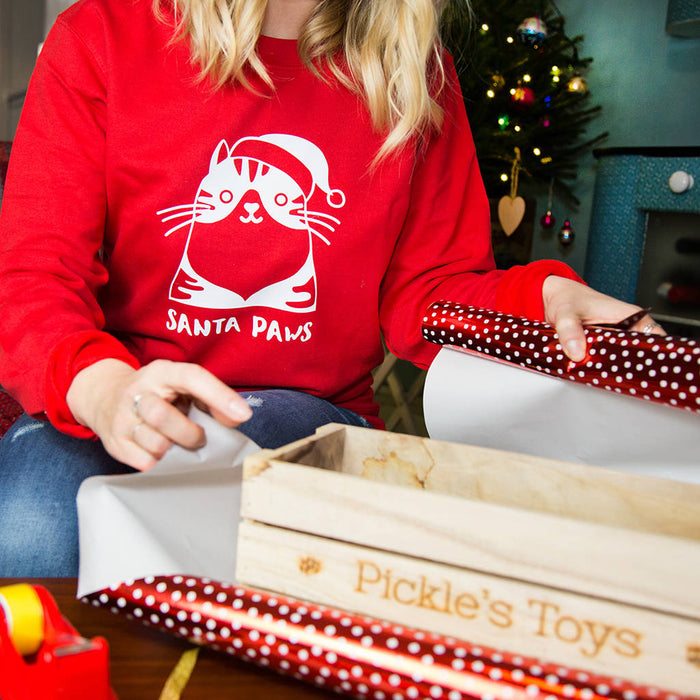 'Santa Paws' Cat Christmas Jumper